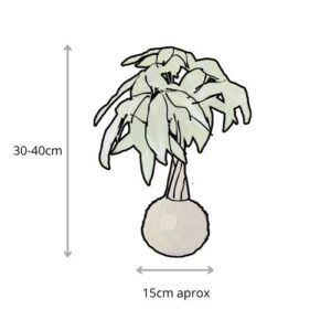 Kokedama pachira trenzada dimensiones 30-40cm alto