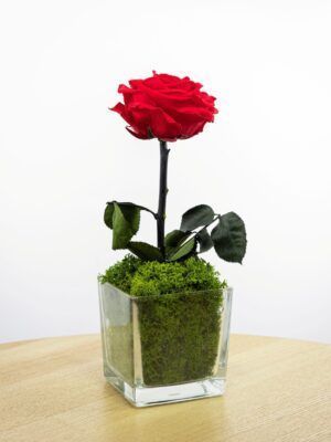 Rosas eternas 5 Rosa Eterna Cristal