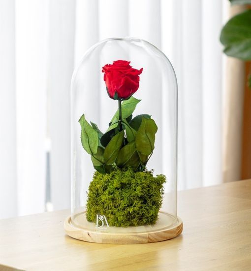 Rosa Eterna Ikigai decoración hogar web Rosa Eterna Ikigai decoracion hogar web
