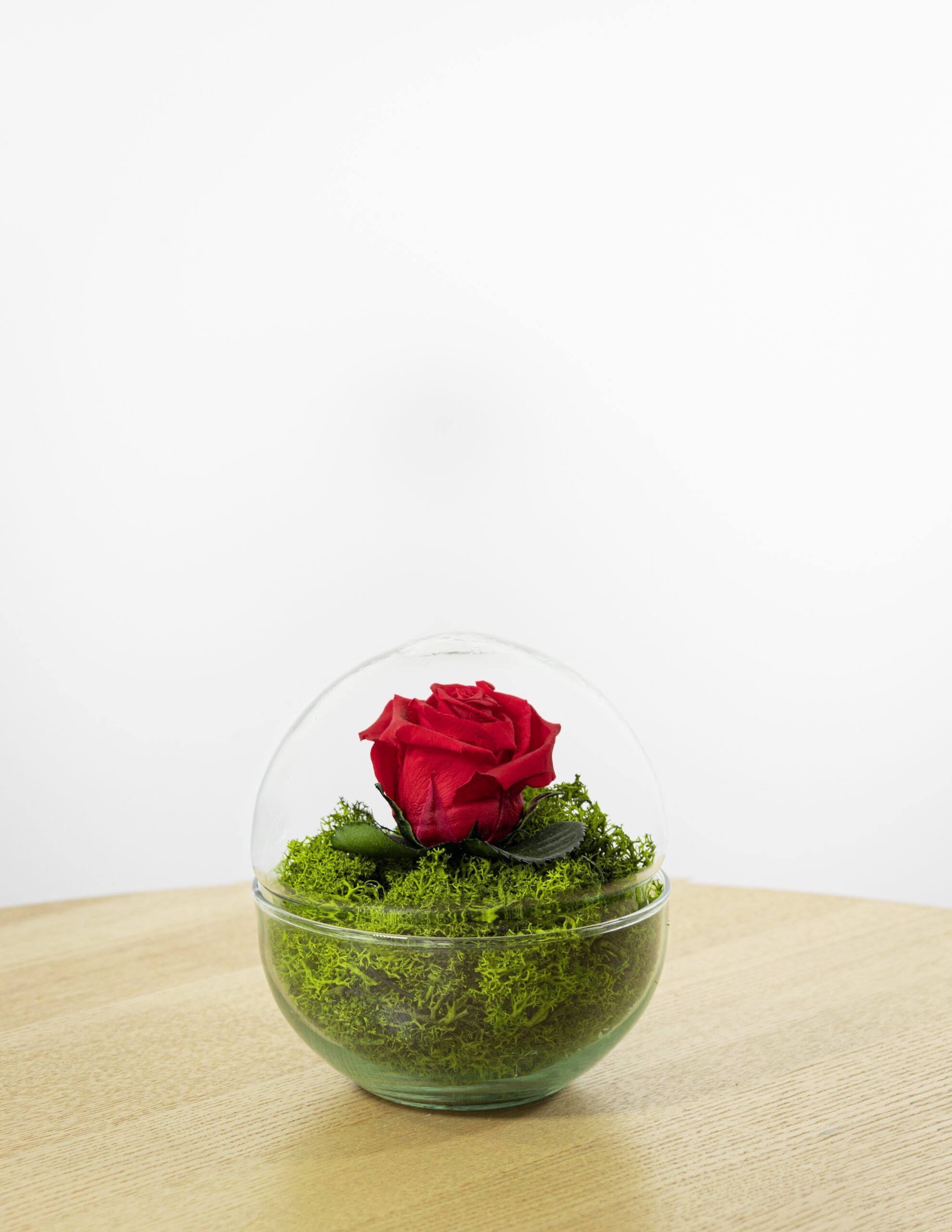 Rosa Eterna Naz 2 Rosa Eterna Naz - Imagen 2