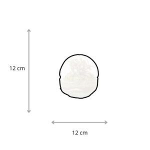 Terrario mizu dimensiones