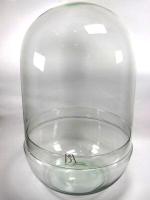Cristal Terrario Kusa