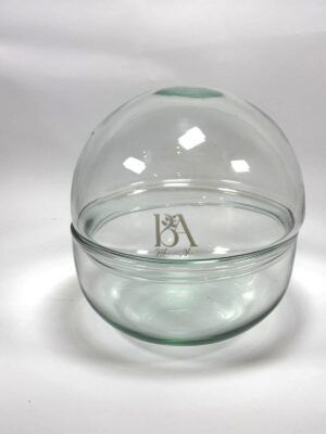 Cristal terrario Mizu