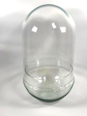Cristal Terrario Shizen