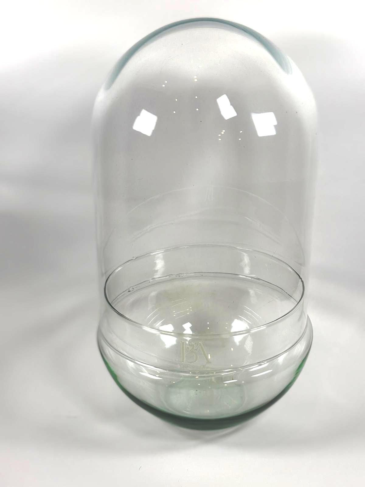 Cristal Terrario Shizen 1 Cristal Terrario Shizen